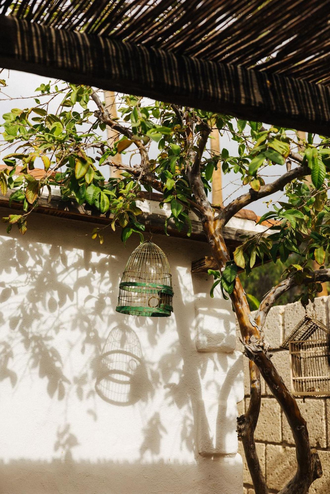 Casa Jable Nueva Βίλα Costa Adeje  Εξωτερικό φωτογραφία